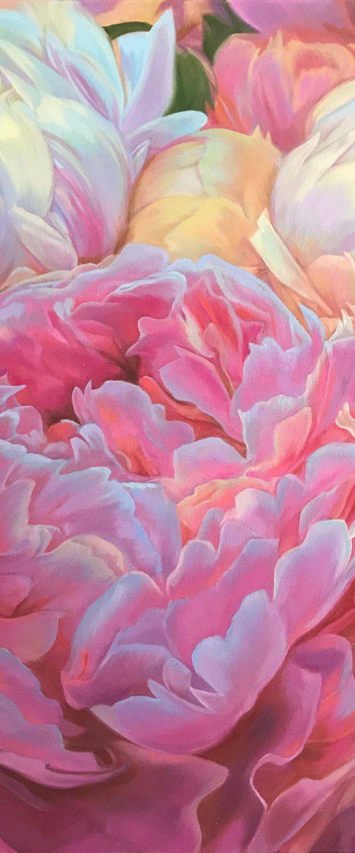 Fragrant peonies by Elena