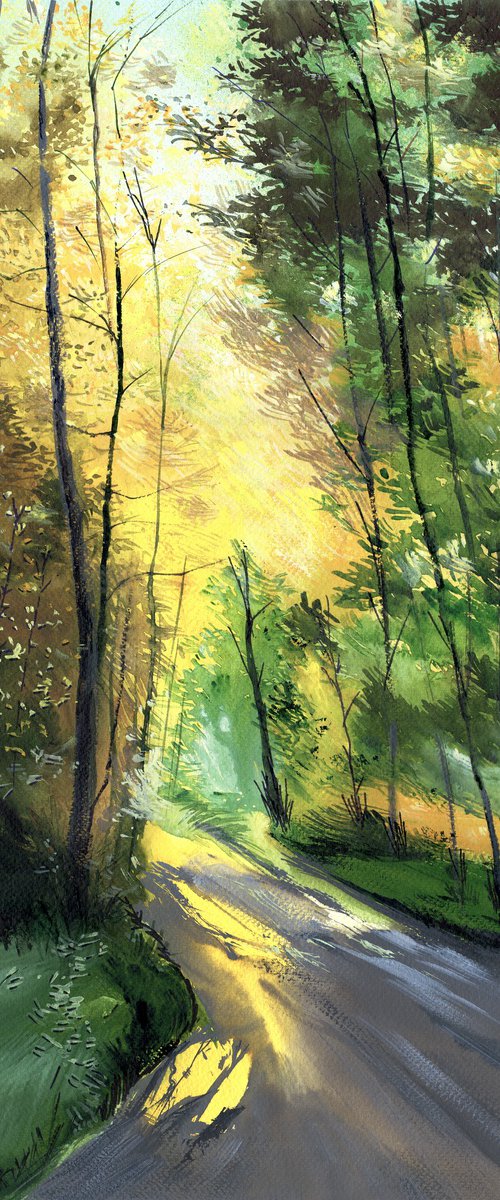 Light Flashes by Anil Nene