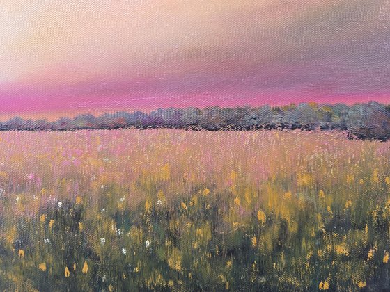 Listening to the Light