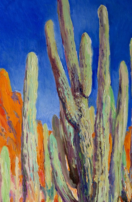 Desert In Arizona, Saguaro Cactuses