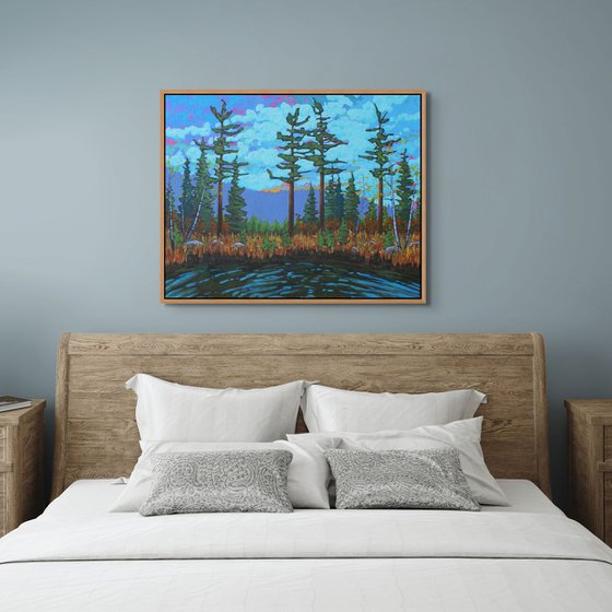 A Day in the Wilderness