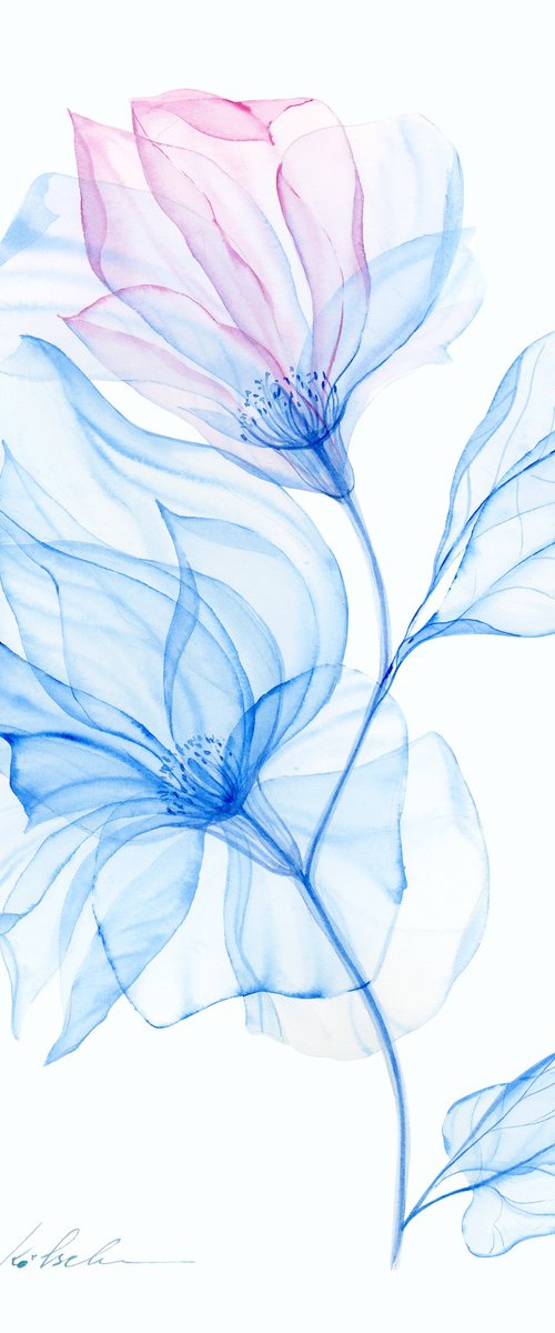 Fragile by Olga Koelsch