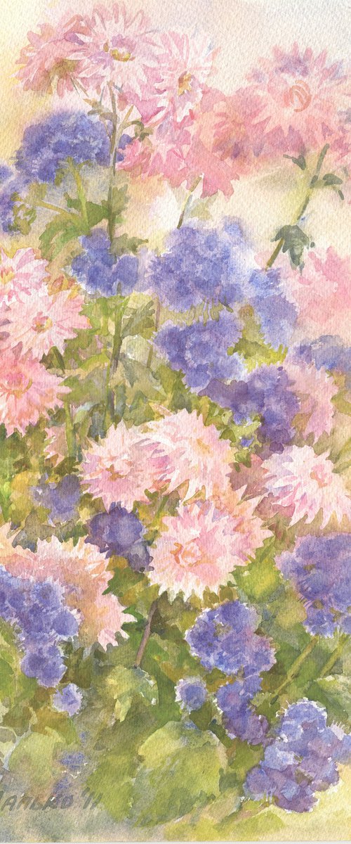 Pink and blue flowers. Chrysanthemum and ageratum / ORIGINAL watercolor 11x15in (28x38cm) by Olha Malko