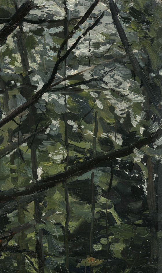 Forest. Fir-tree. Karmanovo