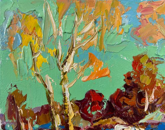 Spring fields