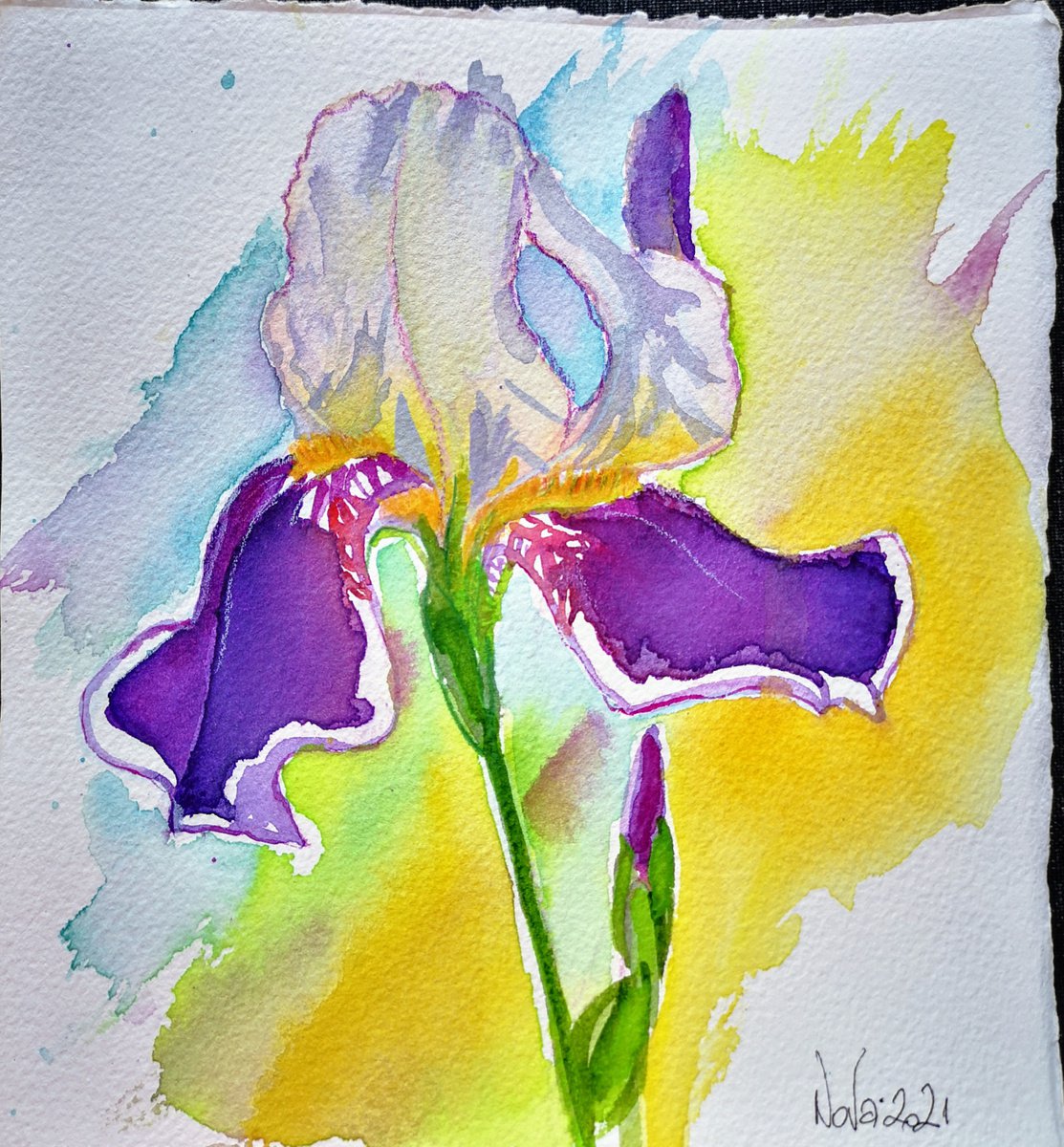 Iris of Kallaste by Jelena Nova