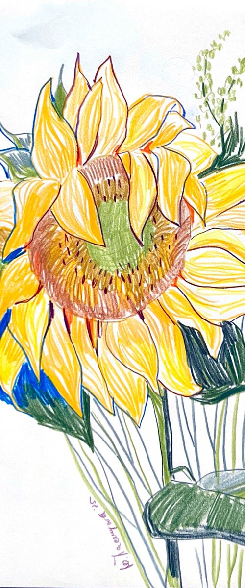 sunflower sketch by Yuliia Pastukhova