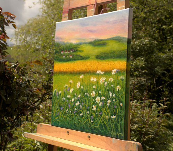 Daisy meadow landscape