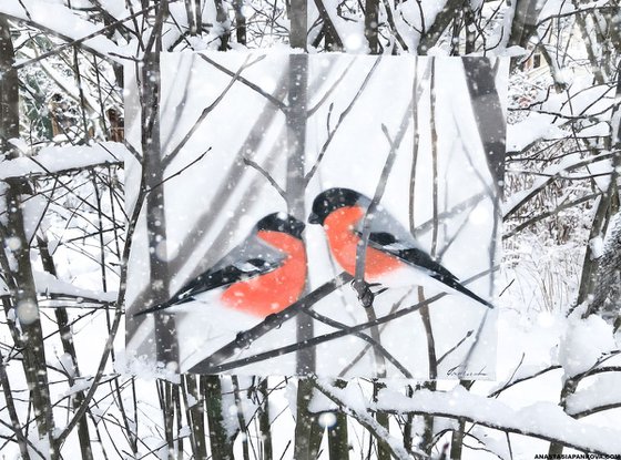 Pair of bullfinches
