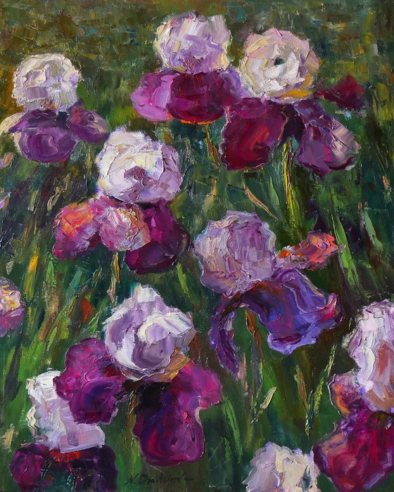 Irises - irises painting #6