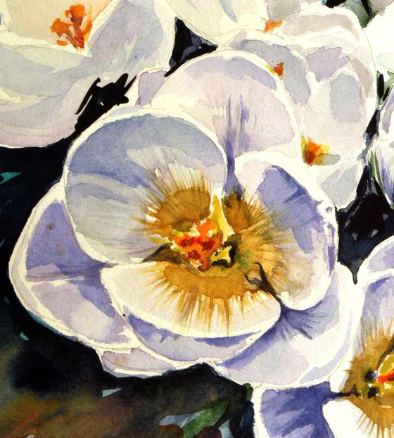 First crocus