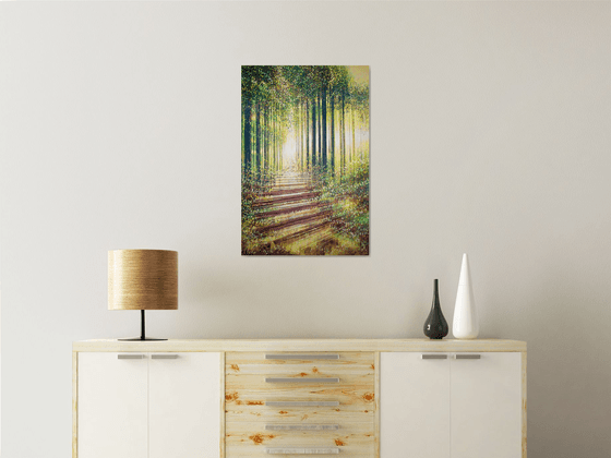 Forest Trees In Summer