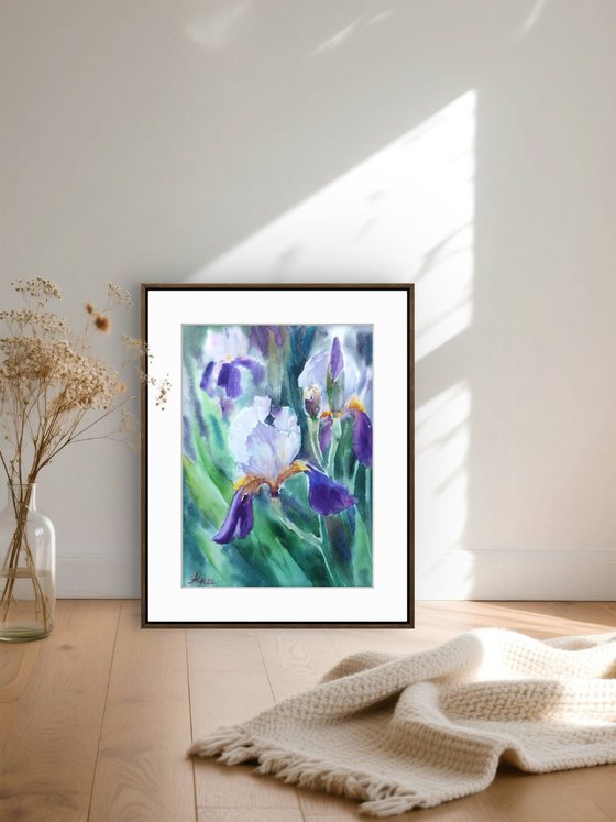 Iris flowers