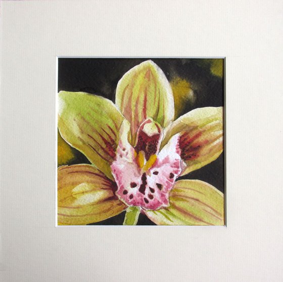 a painting a day #44 " spring cymbidium orchid "