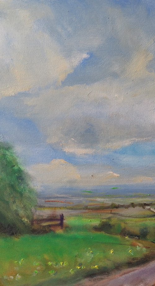 Above Kirby Underdale by Malcolm Ludvigsen