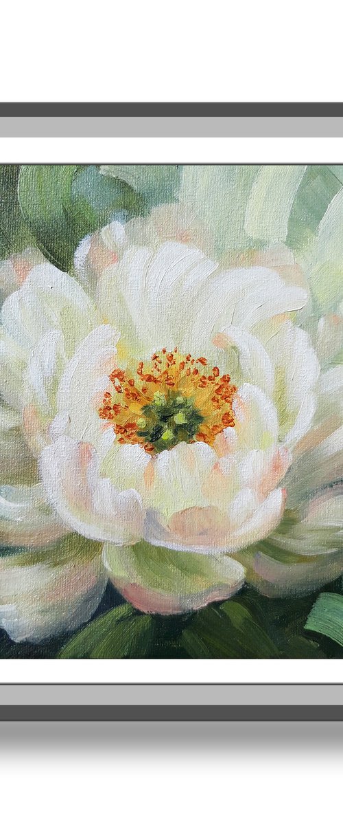"White peony", small floral oil painting, flowers art by Anna Steshenko