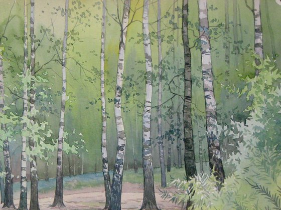 Forest sketch