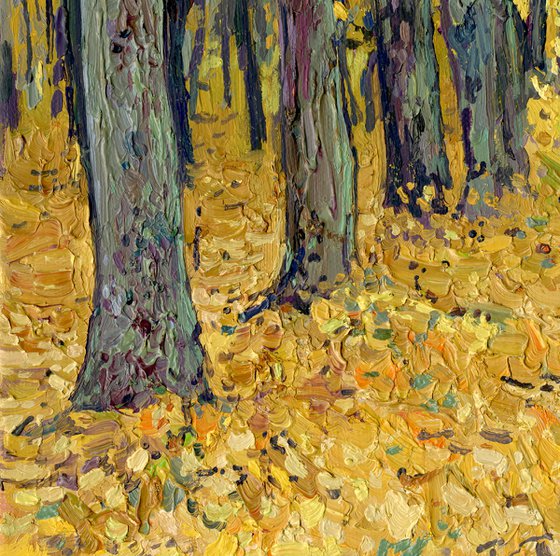 Golden maples in the park