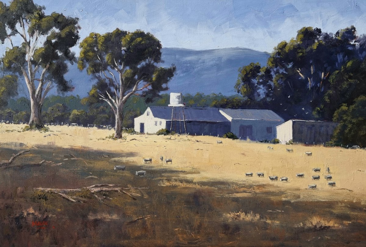 Southern Grampians Shearing Sheds by Rod Moore
