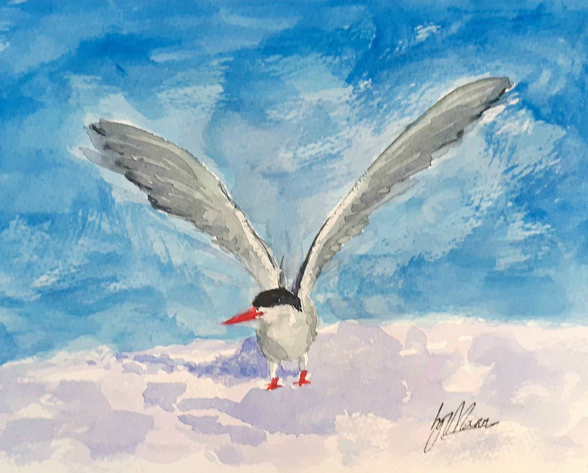 Arctic Tern in the Snow by Lisa Mann