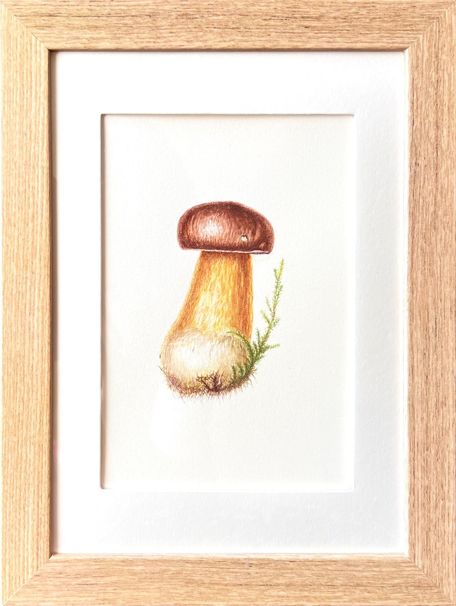 Pretty Little Mushroom by Tetiana Kovalova