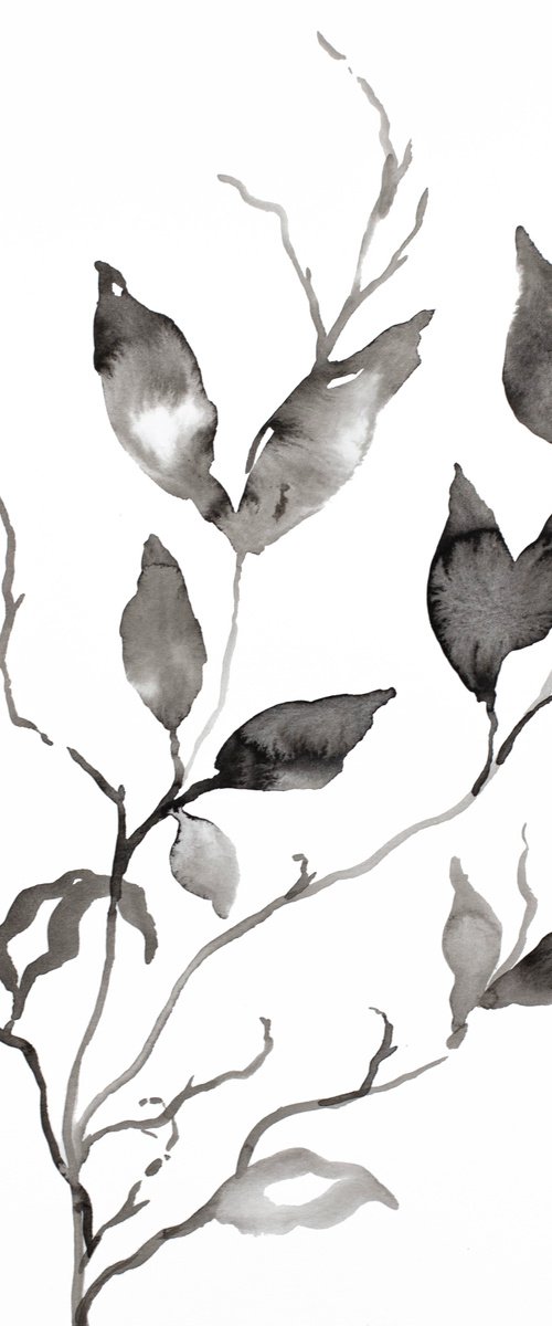 Plant Study No. 108 by Elizabeth Becker