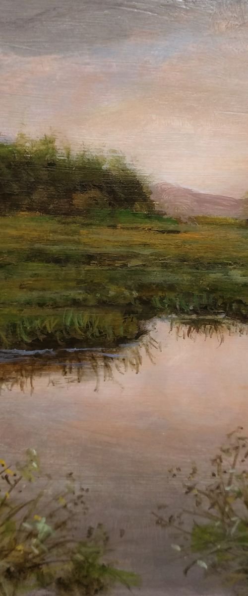 meadows by Vishalandra Dakur