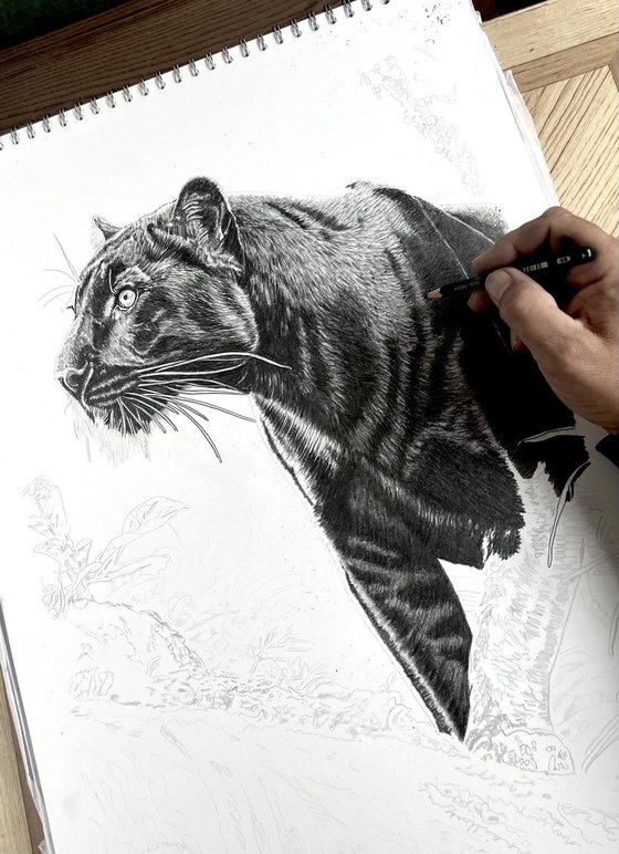 Black Jaguar (Black Panther)