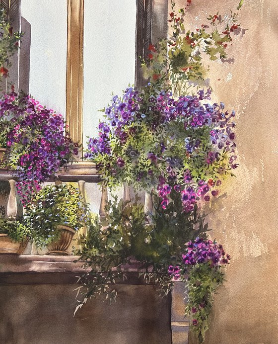 Window with flowers , Venice