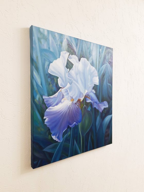 "Spring iris"