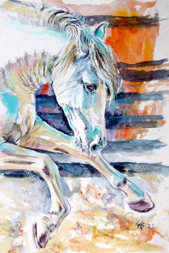Andalusian horse collection