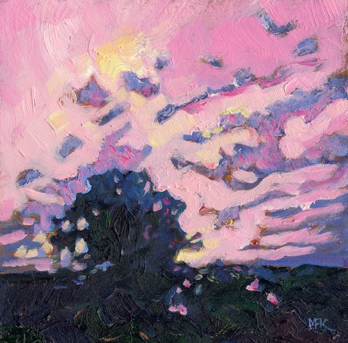 Pink Sky by Mary Kemp