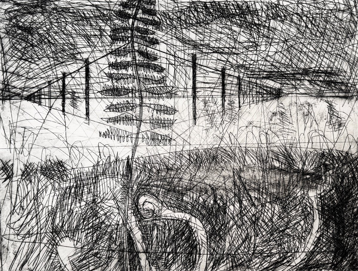 Impressionistic Etchings & Engravings , Terminal Frond Etching By Darren Jekel, 5 X 4, Artwork For Sale On Artfinder