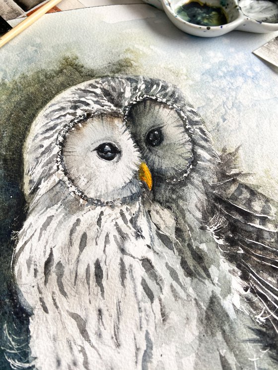 Ural Owl, wildlife, birds watercolours