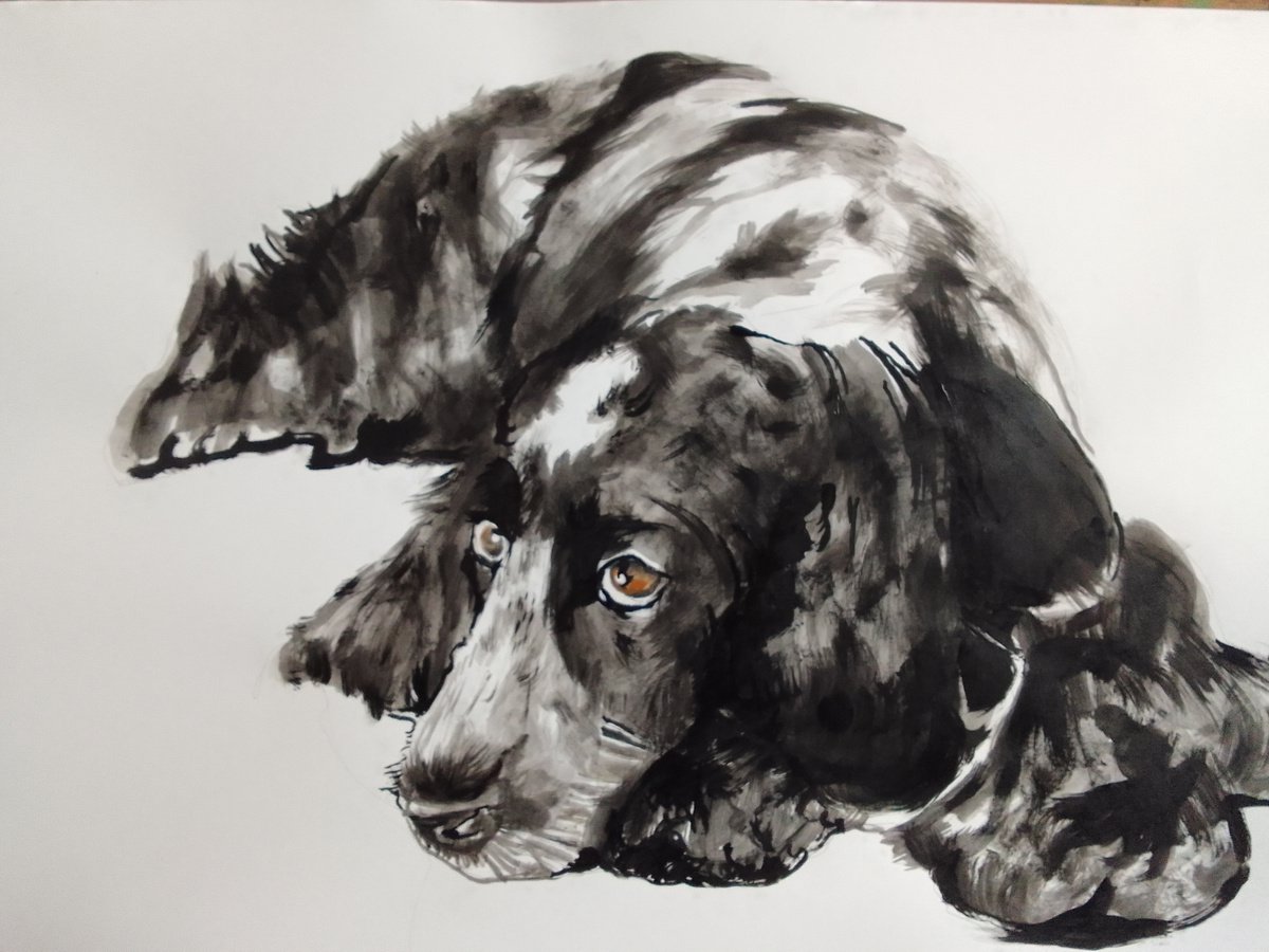 Photorealistic Animal Acrylic Painting By Soso Kumsiashvili, 33 X 24", Cocker Spaniel, Original Artwork