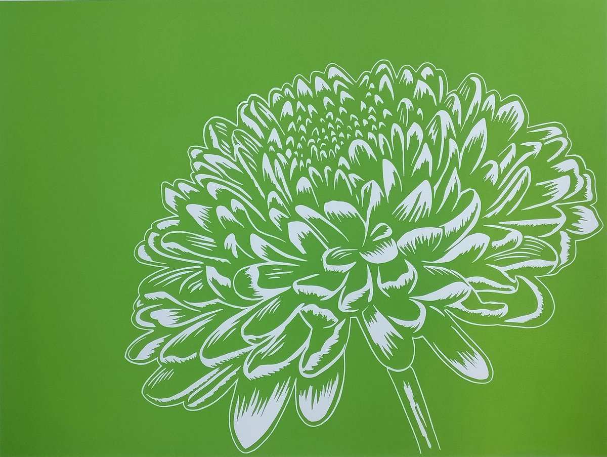 Chrysanthemum Lime by TARA SLATER