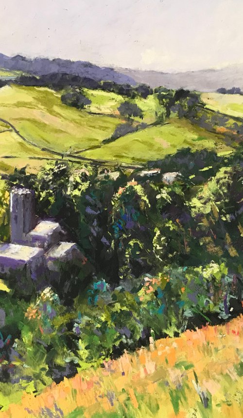 Above Burnsall by Andrew Moodie