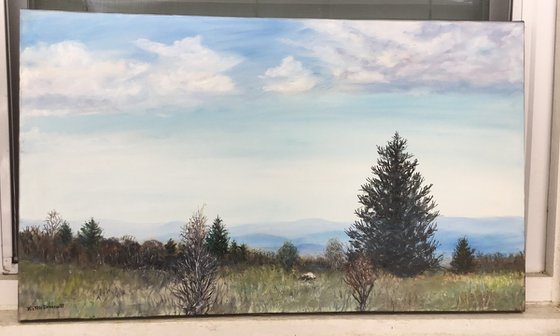VIEW FROM GRAYSON HIGHLANDS