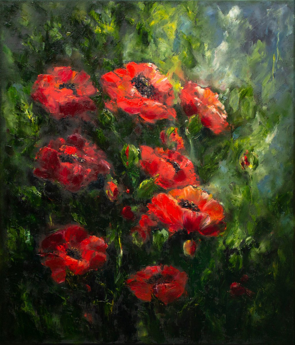 In love with poppies by Mila Moroko