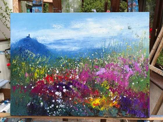 Summer's Joy at Brentor