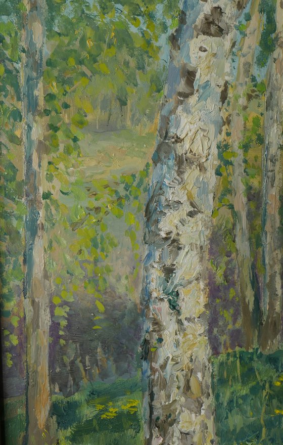 The Sunny Birch Forest