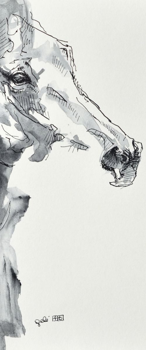 Equine Nude 157 by Benedicte Gele