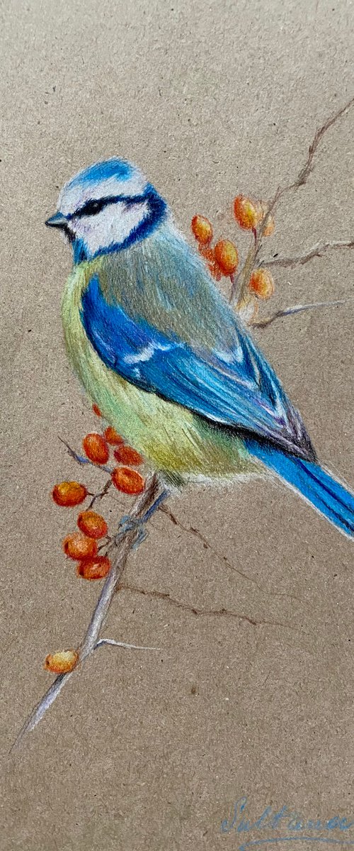 Bird with berries by Elvira Sultanova