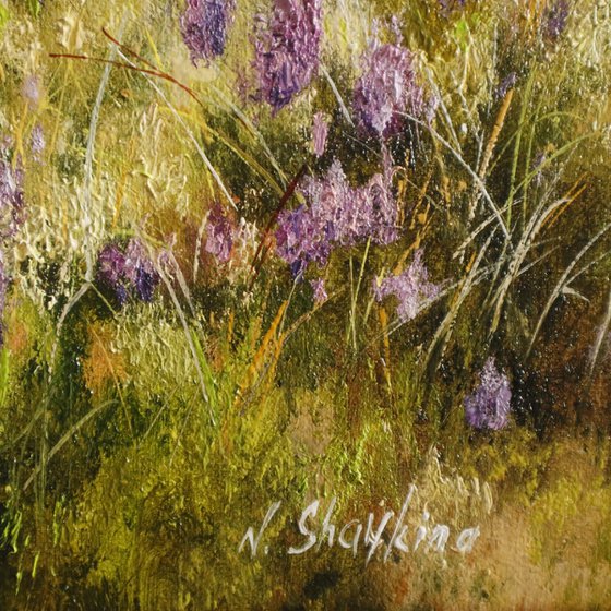 Pheasant in Sunrise Field