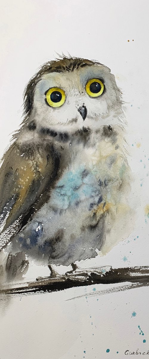 Little owl on a branch #6 by Eugenia Gorbacheva