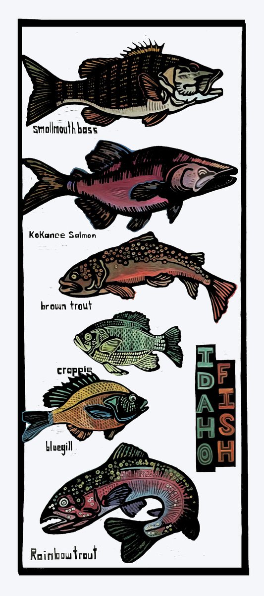 Idaho Fish by Laurel Macdonald