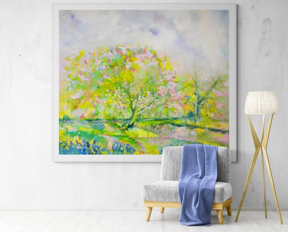 Cherry Blossom Lane 2025