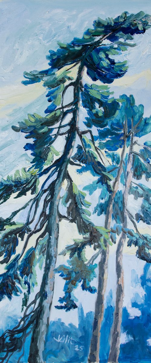 Pine Trees #7 by Lilit Vardanyan