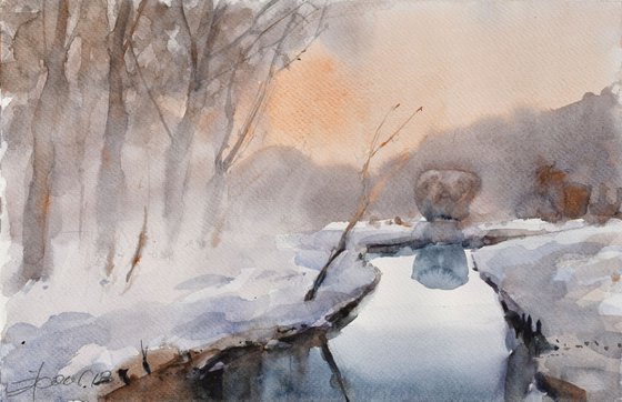 Foggy winter sunset