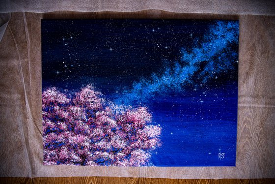 Cherry blossoms under the Milky Way